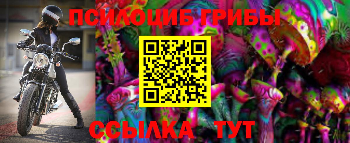 Галлюциногенные грибы MAGIC MUSHROOMS  Псилоцибиновые грибы MAGIC MUSHROOMS  Вход с VPN  Ангарск 